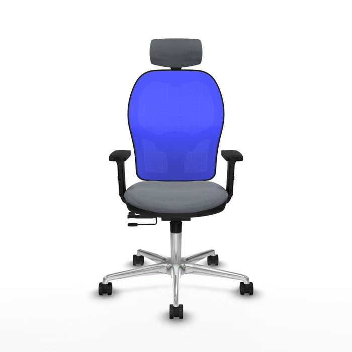 PIQUERAS Y CRESPO Silla de oficina Jorquera con mecanismo Sincro/Traslack Gris y Azul PIQUERAS Y CRESPO Silla de oficina Jorquera con mecanismo Sincro/Traslack Gris y Azul