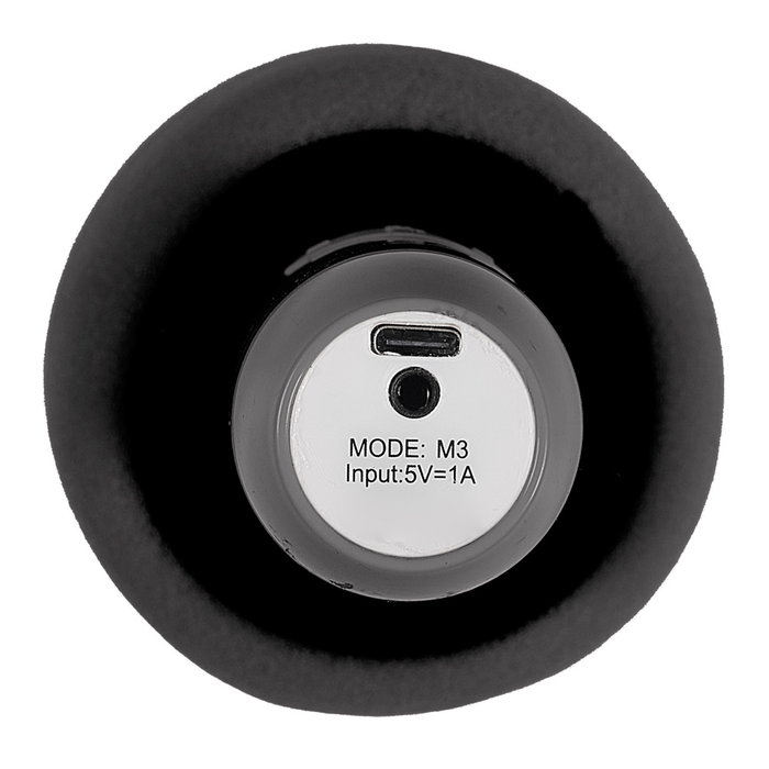 Party Time Altavoz Luminoso Micro Karaoke Bluetooth Inalámbrico con Efectos de Luz y Voz