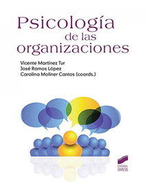 PSICOLOGIA DE LAS ORGANIZACIONES, VV.AA. - SINTESIS EDITORIAL