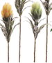 DKD Home Decor Flor 15 x 65 x 15 cm Amarillo Verde (24 Unidades)