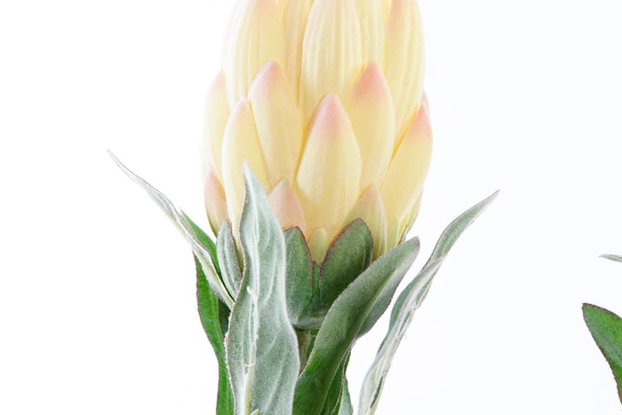 DKD Home Decor Flor 15 x 65 x 15 cm Amarillo Verde (24 Unidades)