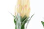 DKD Home Decor Flor 15 x 65 x 15 cm Amarillo Verde (24 Unidades)
