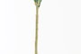 DKD Home Decor Flor 15 x 65 x 15 cm Amarillo Verde (24 Unidades)