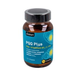 VITALART Pqq Plus 30 Cap. Complemento Alimenticio con Vitaminas B5, C, D3 para Rendimiento Intelectual y Acción Antioxidante