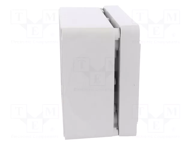ELEKTRO-PLAST NASIELSK Carcasa Universal Industrial Gris