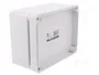 ELEKTRO-PLAST NASIELSK Carcasa Universal Industrial Gris