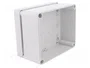 ELEKTRO-PLAST NASIELSK Carcasa Universal Industrial Gris