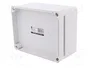 ELEKTRO-PLAST NASIELSK Carcasa Universal Industrial Gris