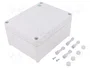 ELEKTRO-PLAST NASIELSK Carcasa Universal Industrial Gris