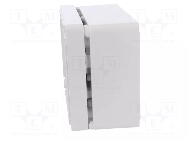 ELEKTRO-PLAST NASIELSK Carcasa Universal Industrial Gris