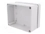 ELEKTRO-PLAST NASIELSK Carcasa Universal Industrial Gris
