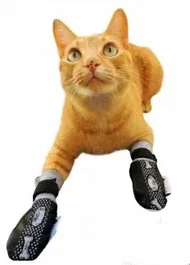 Petmed Manopla Para Gato 3