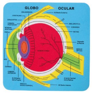 Goma Eva Fixo Kids Puzle 21,2X21,5 Cm. Sistema Ocular Goma Eva Fixo Kids Puzle 21,2X21,5 Cm. Sistema Ocular