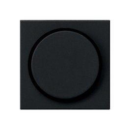 GIRA 0650005 Accesorio para interruptor eléctrico protectora negro