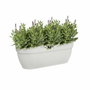 Elho Maceta Vibia Campana Easy Hanger Grande Blanco Seda