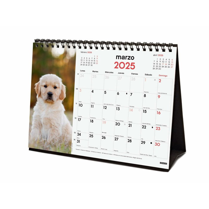 Finocam Calendario De Sobremesa Para Escribir S-210x150 mm Imágenes Cachorros 2025, Espiral Doble, Temáticas Variadas
