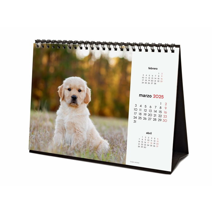 Finocam Calendario De Sobremesa Para Escribir S-210x150 mm Imágenes Cachorros 2025, Espiral Doble, Temáticas Variadas
