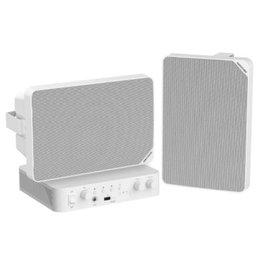 Hikvision DS-QAE1KA80120-2 Kit de 1 Amplificador y 2 Altavoces de Techo