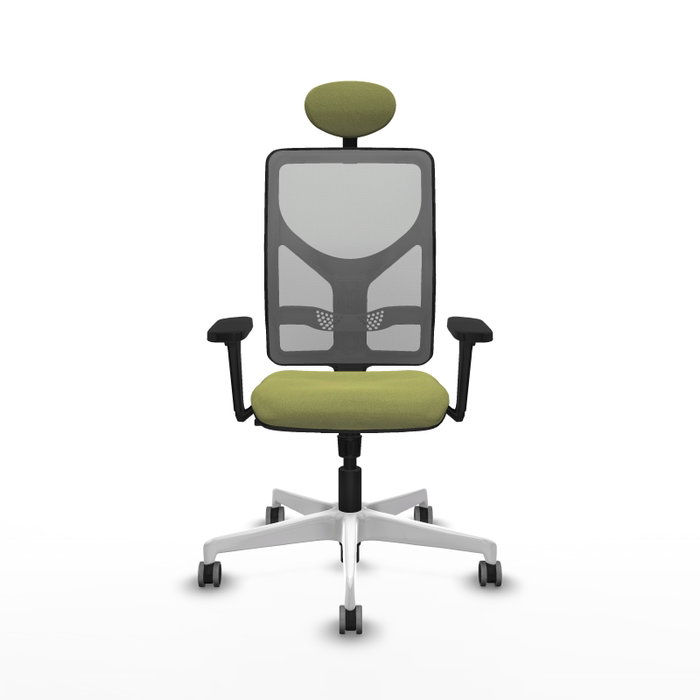 PIQUERAS Y CRESPO Silla de oficina Motilla con Mecanismo Sincro, Verde oliva y Gris PIQUERAS Y CRESPO Silla de oficina Motilla con Mecanismo Sincro, Verde oliva y Gris