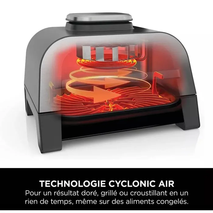 Ninja Parrilla y Freidora sin Aceite MAX 6 en 1 DG551EU 1760 W Gris 6 Modos de Cocción