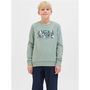 Sudadera sin Capucha Niño Jack & Jones Jjgeplas Crew Neck Azul M