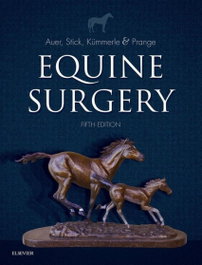 EQUINE SURGERY, Auer; Stick - ELSEVIER UK