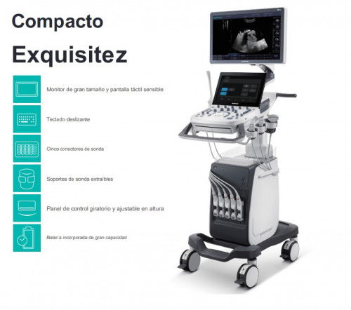 Sonoscape Ecografo P10 C-Field Beam, U-Scan, Color Dinamico HD Flow, Imagenes Especificas De Tejidos