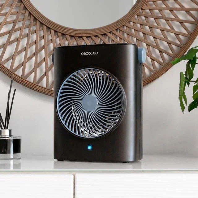 Cecotec Termoventilador Eléctrico 2000W 08254 Negro Interior 20m² con Termostato, 2 Niveles de Potencia y Asa Portátil