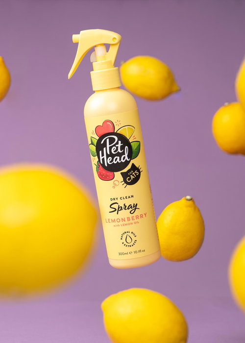 Pet Head Spray Lavado en Seco para Gatos Felin' Good, Revitaliza el Pelaje, 300ml Pet Head Spray Lavado en Seco para Gatos Felin' Good, Revitaliza el Pelaje, 300ml