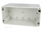 FIBOX EURONORD Carcasa Universal Gris ABS 80x160x85mm