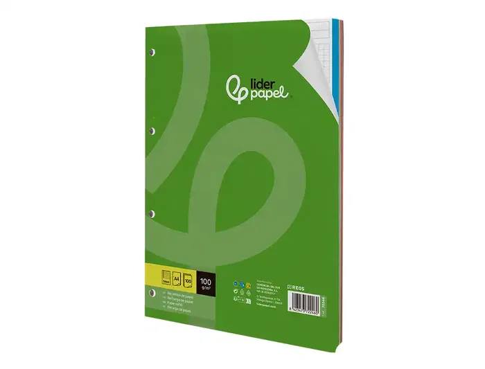 Liderpapel Recambio A4 100 Hojas 100gr Cuadro 5mm 4 Taladros Bandas 5 Colores