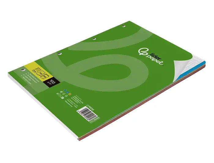 Liderpapel Recambio A4 100 Hojas 100gr Cuadro 5mm 4 Taladros Bandas 5 Colores