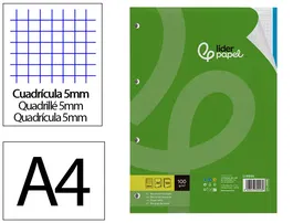 Liderpapel Recambio A4 100 Hojas 100gr Cuadro 5mm 4 Taladros Bandas 5 Colores