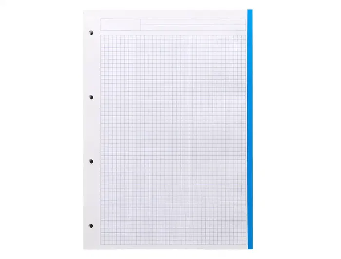 Liderpapel Recambio A4 100 Hojas 100gr Cuadro 5mm 4 Taladros Bandas 5 Colores