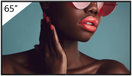 Sony FW-65BZ40L - Pantalla de Señalización Digital 65" 4K Ultra HD, Android, Brillo 700 cd/m², Funcionamiento 24/7, Wi-Fi, HDR, IPS, Negro