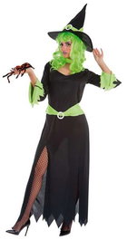 Creaciones Llopis Disfraz Adulto Bruja Green Talla L