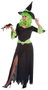 Creaciones Llopis Disfraz Adulto Bruja Green Talla L