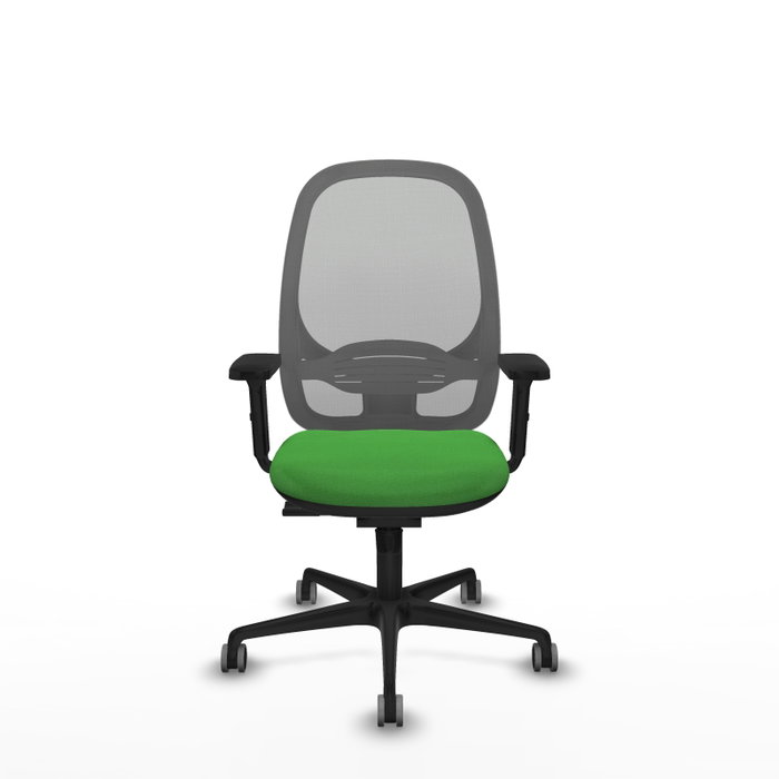 PIQUERAS Y CRESPO Silla de oficina Cilanco Verde y Gris PIQUERAS Y CRESPO Silla de oficina Cilanco Verde y Gris
