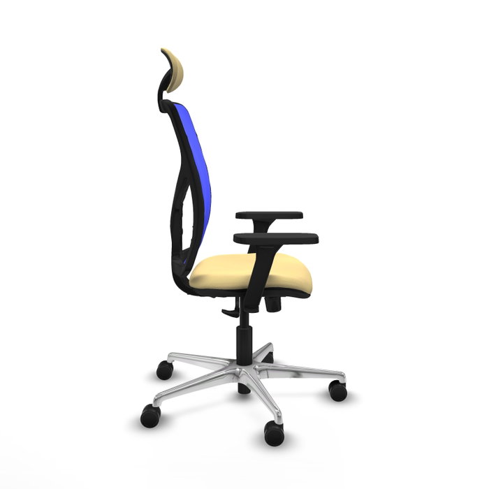 PIQUERAS Y CRESPO Silla de oficina Motilla con mecanismo Sincro, Crema y Azul PIQUERAS Y CRESPO Silla de oficina Motilla con mecanismo Sincro, Crema y Azul