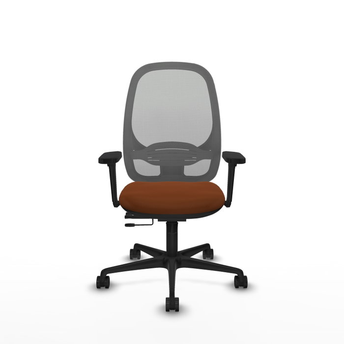 PIQUERAS Y CRESPO Silla de oficina Cilanco con mecanismo Sincro/Traslack, Marrón y Gris PIQUERAS Y CRESPO Silla de oficina Cilanco con mecanismo Sincro/Traslack, Marrón y Gris