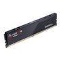 G.Skill Flare X5 32 GB DDR5 5600 MT/s CL46