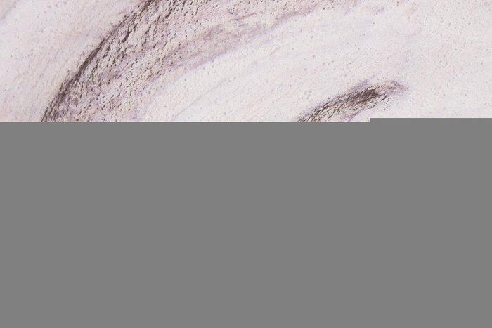 DKD Home Decor Cuadro Lienzo Pino Buda Surtido de 2 Unidades DKD Home Decor Cuadro Lienzo Pino Buda Surtido de 2 Unidades