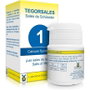 TEGOR Tegorsal Nº 1 Calcium fluoratum 20 g