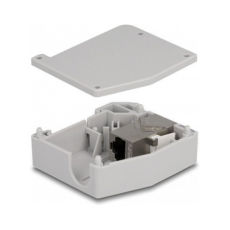 DeLOCK Adaptador de carril DIN con módulo Keystone RJ45 hembra a RJ45 hembra Cat.6A