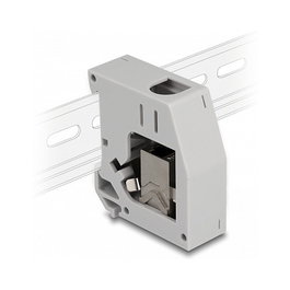 DeLOCK Adaptador de carril DIN con módulo Keystone RJ45 hembra a RJ45 hembra Cat.6A Gris