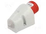 SEZ DK IPNO 3253 Conector Macho Trifásico 32A 400V 5 Pines