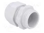 FIBOX Sello aislante PG21 IP68