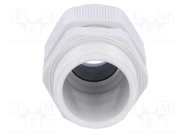 FIBOX Sello aislante PG21 IP68