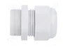 FIBOX Sello aislante PG21 IP68