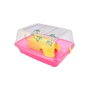 Nayeco Tortuguera Pacific Pequeña 32x39x20 cm Hábitat para tortugas de agua dulce con zona seca y de natación